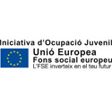 Iniciativa d'Ocupació Juvenil 