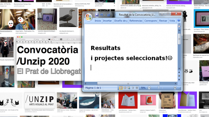 Resultat de la Convocatòria /Unzip Arts Visuals 2020