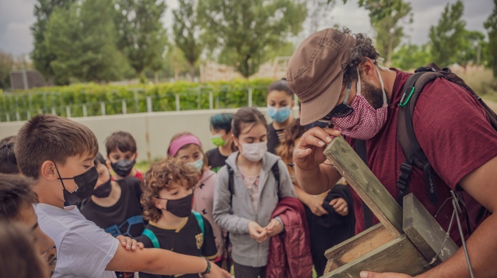 Educació ambiental balanç curs