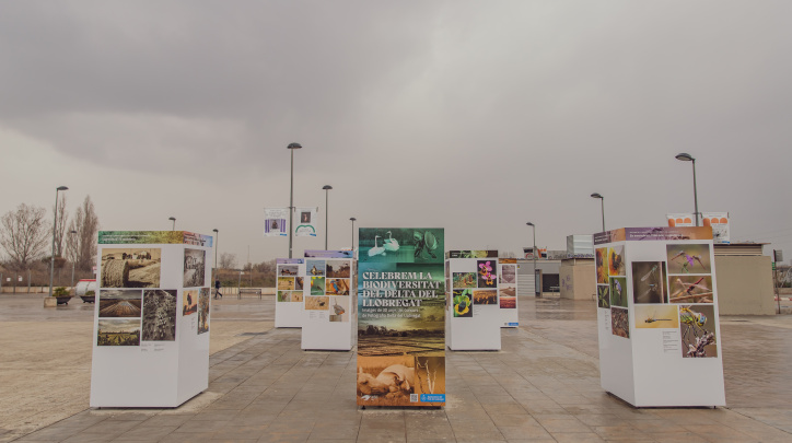 Expo celebrem biodiversitat