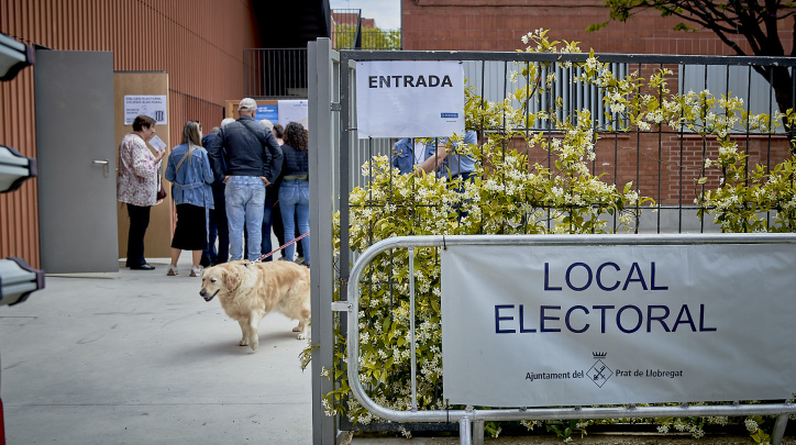 locals electorals