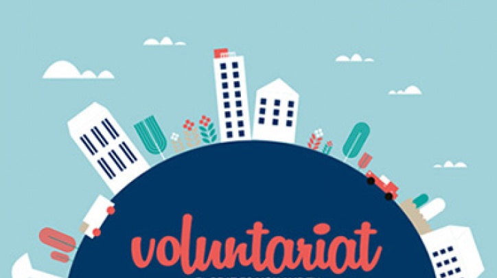 Punt de Voluntariat