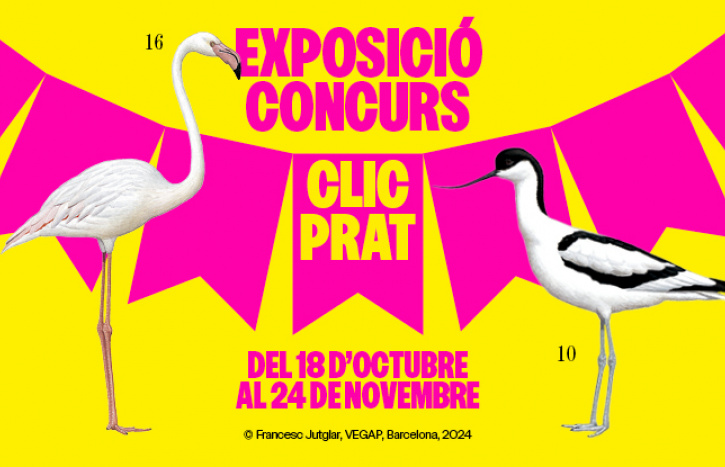 exposicioconcurs