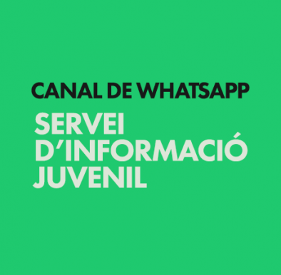 Nou canal de WhatsApp